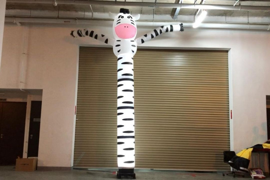 Zebra Dancing Tube