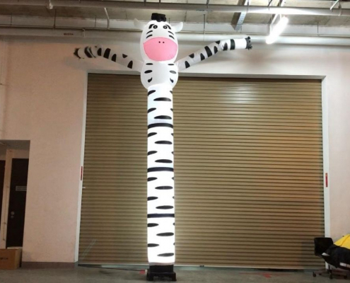 Zebra Dancing Tube