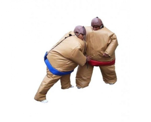 Sumo Wrestling